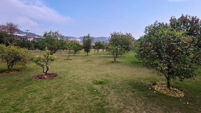 Luxury Villa in Banigala Farmhouse4